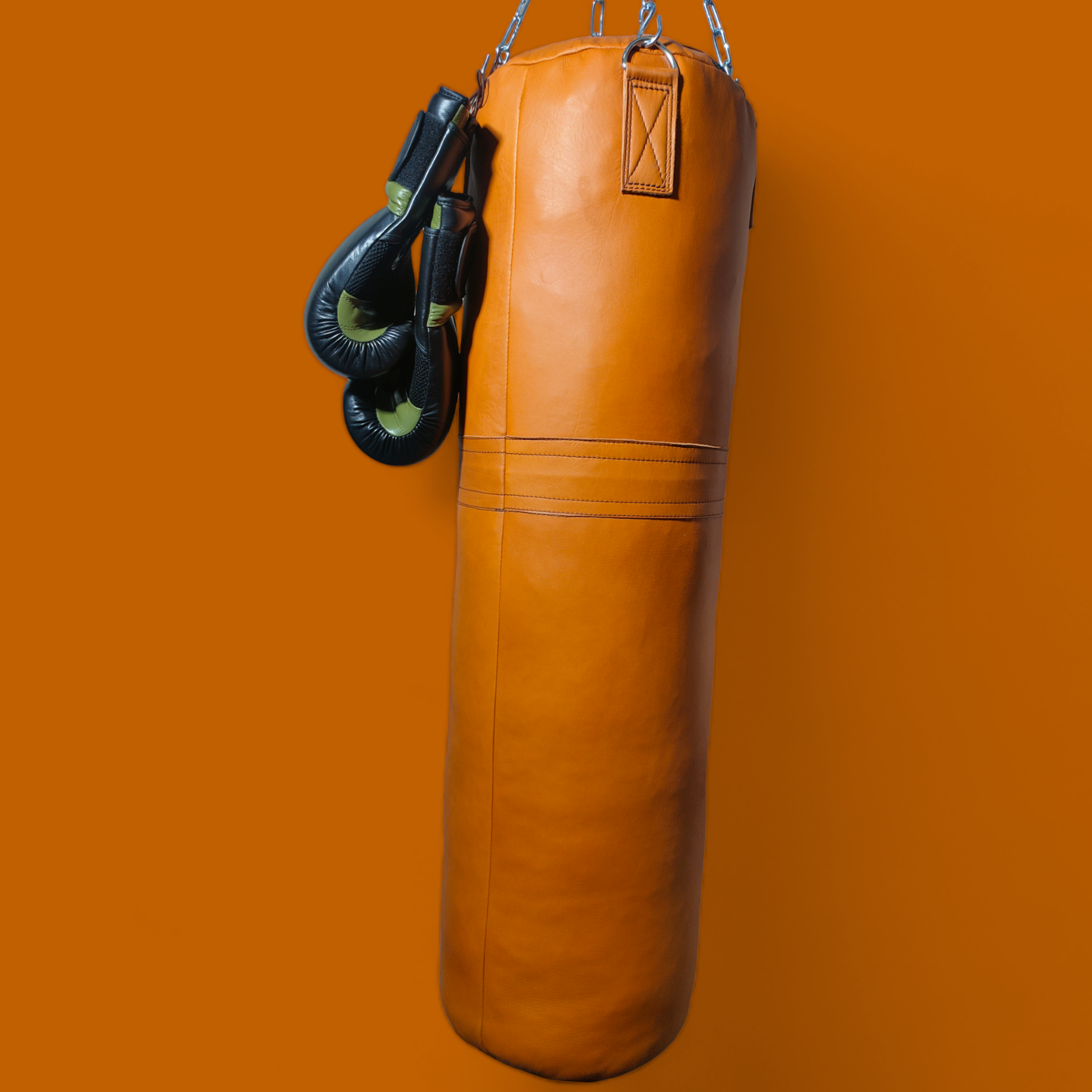 leather punching bag with boxing gloves image
