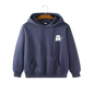 Hoodie style-8 x 20 pcs
